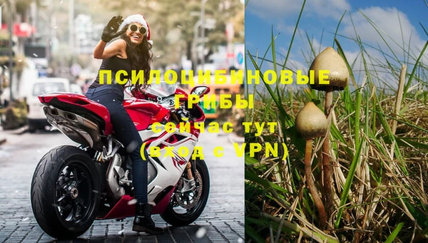 крисы Абинск