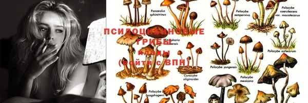 крисы Абинск