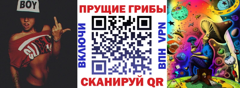 Галлюциногенные грибы GOLDEN TEACHER  Хабаровск 