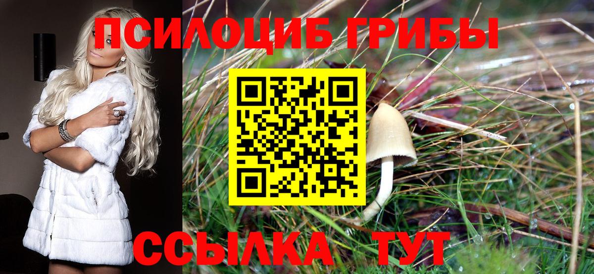 Псилоцибиновые грибы прущие грибы Хабаровск