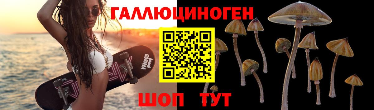 Хабаровск  где можно купить наркотик  Вход с VPN  Псилоцибиновые грибы мицелий 
